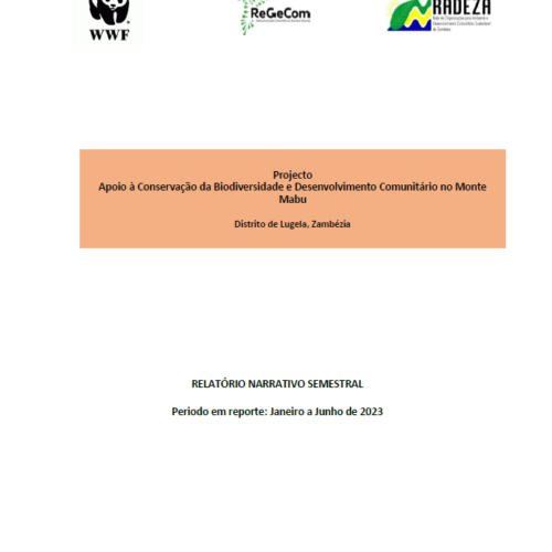 relatorio semestral janeiro à junho v1 2023